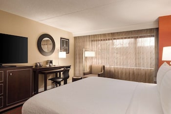 Room, 1 King Bed, Accessible (Hearing)