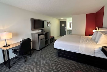Room, 1 King Bed, Non Smoking