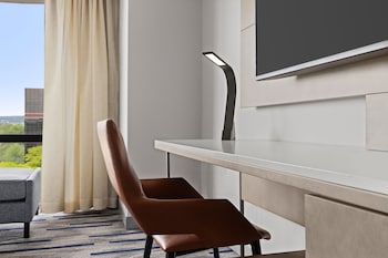 Room, 1 King Bed (Hearing Accessible)