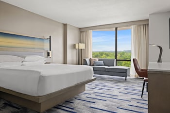 Room, 1 King Bed (Hearing Accessible)