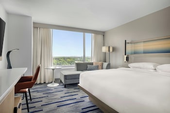 Room, 1 King Bed