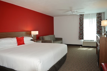 Room, 1 King Bed with Sofa bed, Accessible, Non Smoking