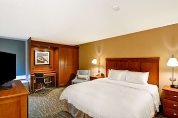 Room, 1 King Bed, Non Smoking