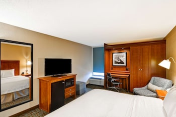 Room, 1 King Bed, Non Smoking