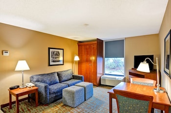 Suite, 1 King Bed, Accessible, Non Smoking