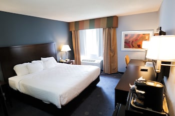 Room, 1 King Bed, Non Smoking