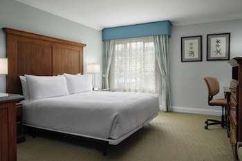 Standard Room, 1 King Bed, Accessible
