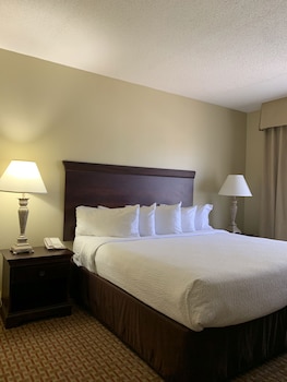 Suite, 1 King Bed with Sofa bed, Accessible