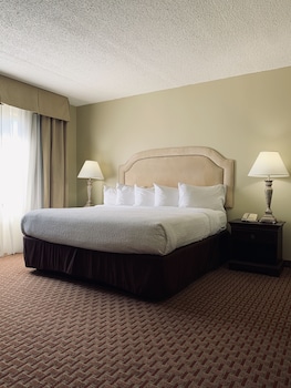 Suite, 1 King Bed with Sofa bed, Accessible