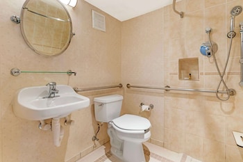 Standard Room, 1 King Bed, Accessible, Non Smoking
