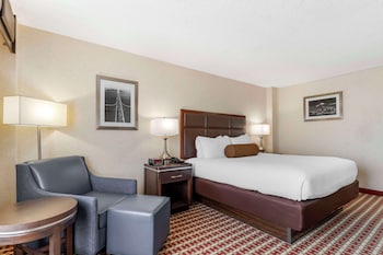 Standard Room, 1 Queen Bed, Non Smoking