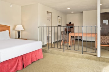 Studio, 1 King Bed