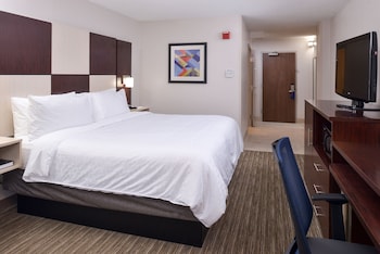 Standard Room, 1 King Bed, Accessible Bathtub (Hearing, Mobility Tub)