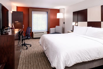 Standard Room, 1 King Bed, Accessible Bathtub (Hearing, Mobility Tub)
