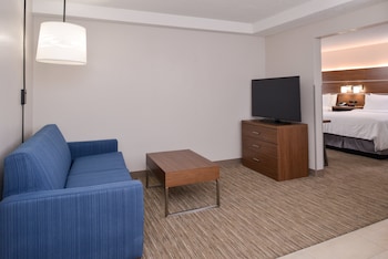 Suite, 1 Bedroom