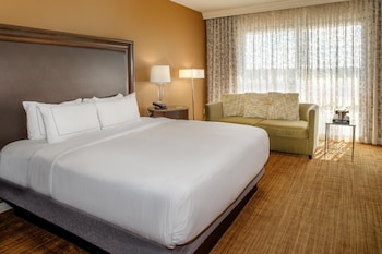 Room, 1 King Bed, Accessible with roll in shower