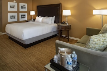 Room, 1 King Bed, Airport View