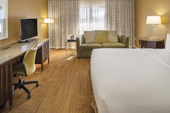 Deluxe Room, 1 King Bed with Sofa bed