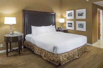 Room, 1 King Bed, Airport View