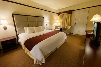 Garden Area Room, 1 King Bed