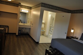 Standard Room, 1 King Bed, Accessible Bathtub, Non Smoking