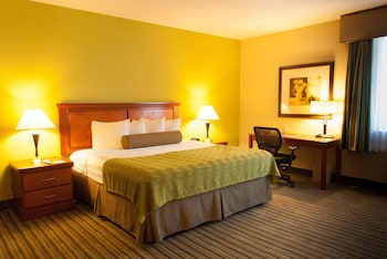 Standard Room, 1 King Bed, Non Smoking, Refrigerator & Microwave