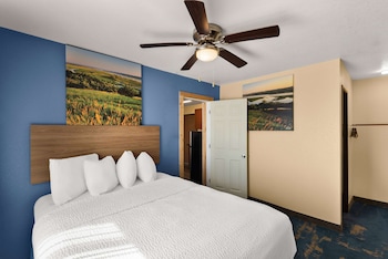 Suite, 1 Queen Bed, Non Smoking, Kitchen