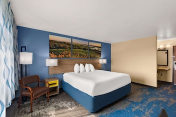 Room, 1 King Bed, Non Smoking