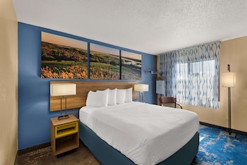 Room, 1 King Bed, Non Smoking