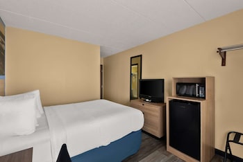 Room, 1 Queen Bed, Non Smoking (Pet-Friendly)