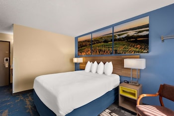 Room, 1 Queen Bed, Non Smoking