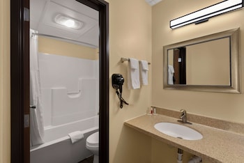 Room, 1 Queen Bed, Non Smoking (Pet-Friendly)
