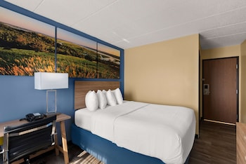 Room, 1 Queen Bed, Non Smoking (Pet-Friendly)