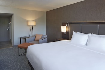 Room, 1 King Bed, Accessible (Mobility, Transfer Shower)