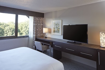 Room, 1 King Bed, Non Smoking