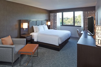 Room, 1 King Bed, Non Smoking