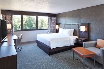 Suite, 1 King Bed, Accessible, Bathtub