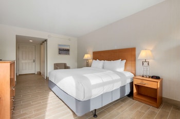 King Room w/ Balcony (No Pets)
