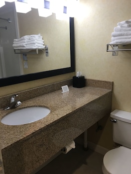 King Room (No Pets)