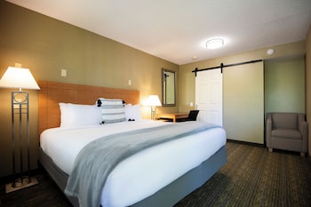 King Room (No Pets)
