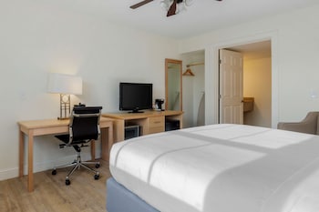 King Room w/ Balcony (No Pets)