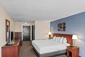 Standard Room, 1 King Bed, Non Smoking