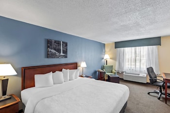 Standard Room, 1 King Bed, Non Smoking