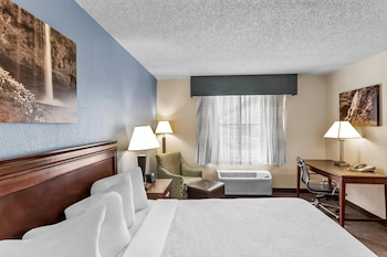Room, 1 King Bed, Accessible, Non Smoking (Roll-In Shower)