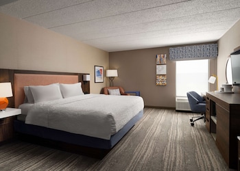 Room, 1 King Bed, Accessible (3x3 Shower)