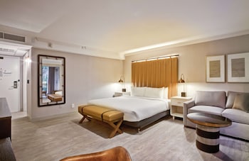 Room, 1 King Bed, Accessible, Balcony (Roll-In Shower)