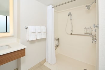 Standard Room, 1 Queen Bed, Roll-in Shower (Communications)