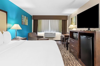 Standard Room, 1 King Bed, Non Smoking, Refrigerator & Microwave