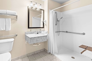 Standard Room, 1 King Bed, Accessible, Refrigerator & Microwave