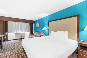 Standard Room, 1 King Bed, Non Smoking, Refrigerator & Microwave